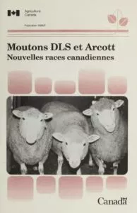 thumbnail of Moutons DLS et Arcott